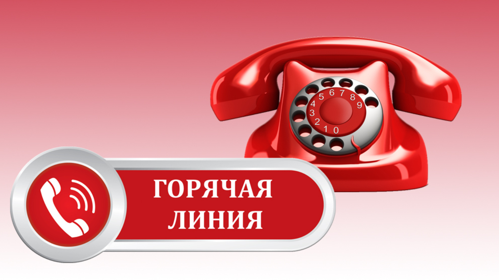 11 июля состоится горячая линия.