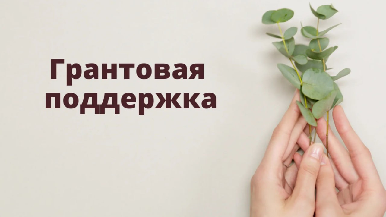 Грантовая поддержка социально ориентированного предпринимательства в ДНР.